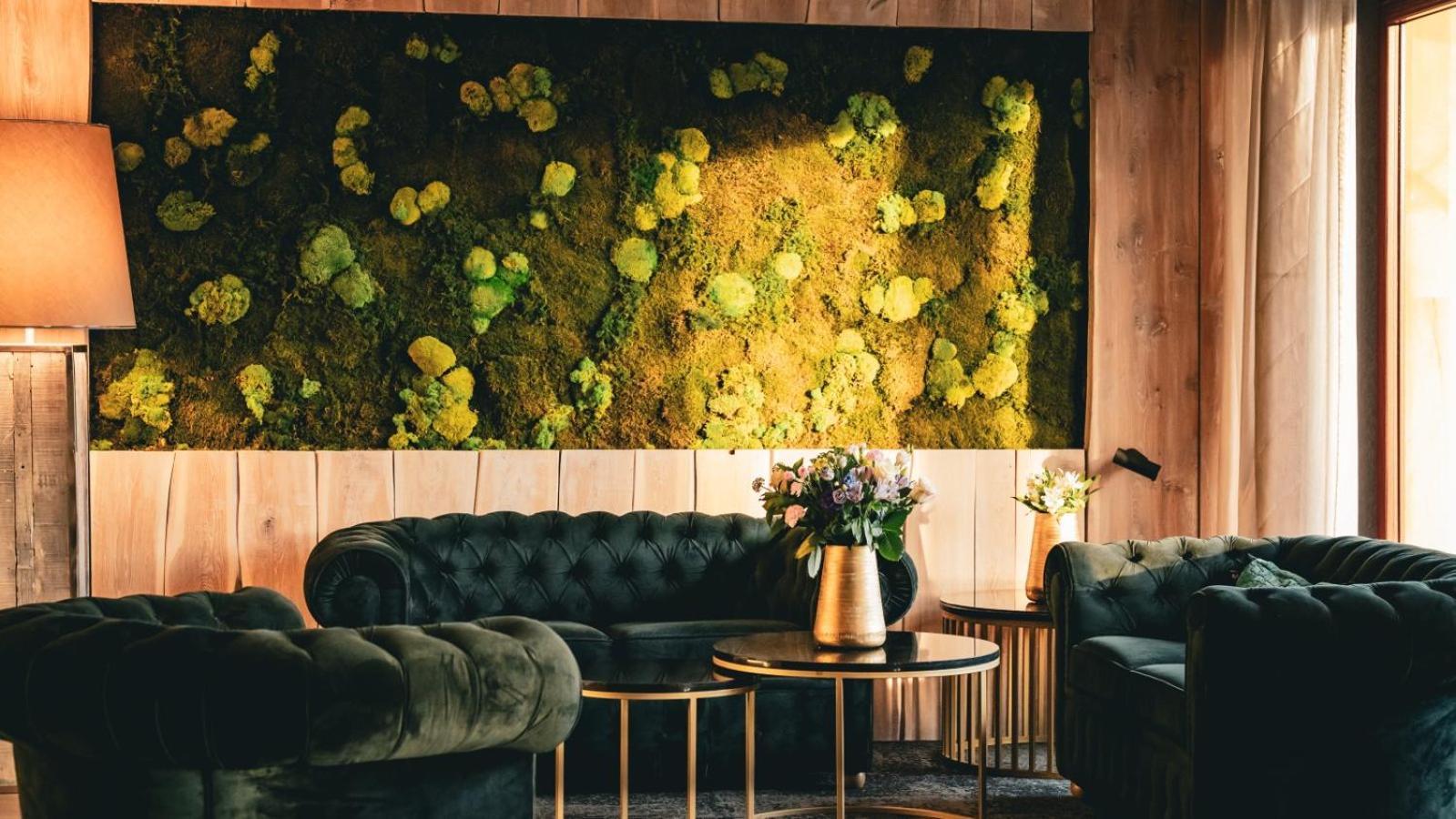 Hotel & Medi-Spa Bialy Kamien Świeradów-Zdrój Extérieur photo